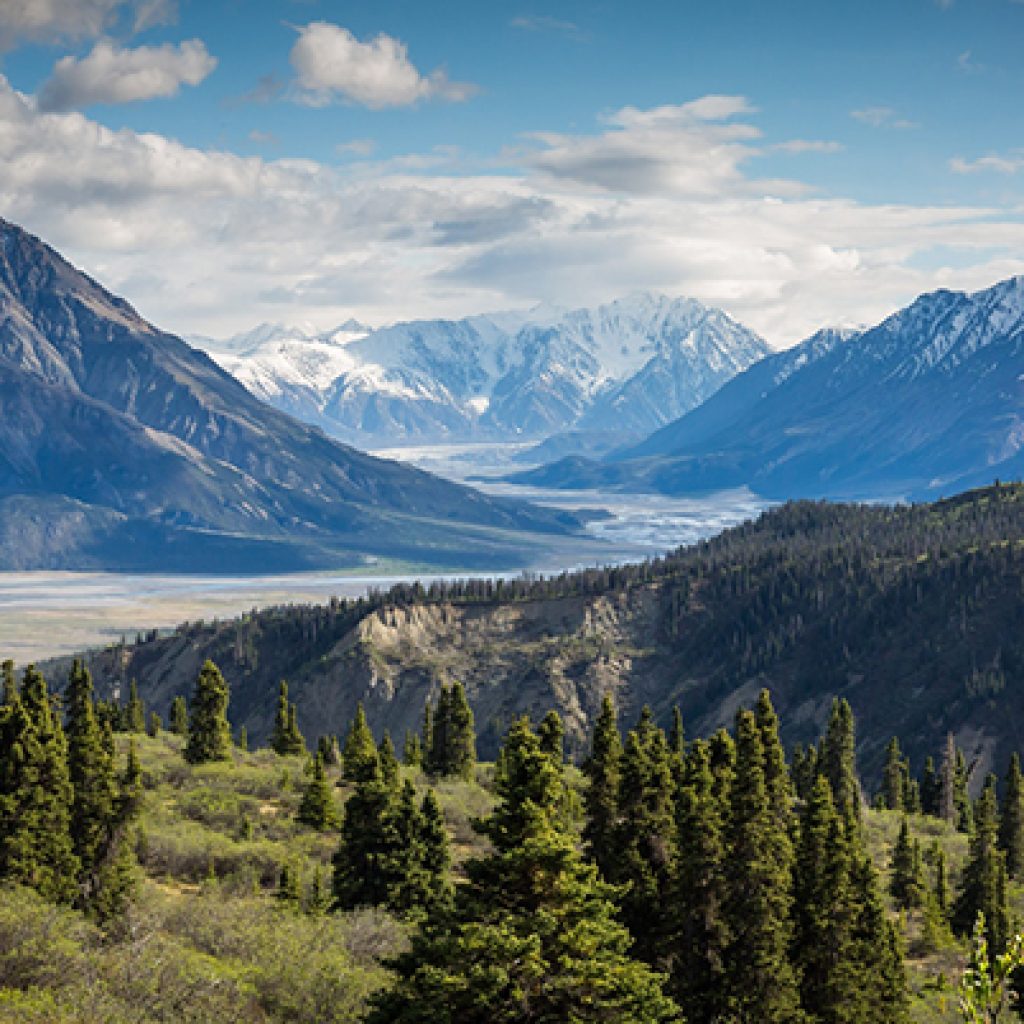 Snow-capped mountains above river valley and pine forest